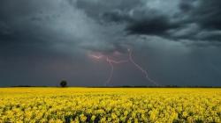 Fjodor Tyutchev - Jarná búrka (Milujem búrky začiatkom mája): Verš